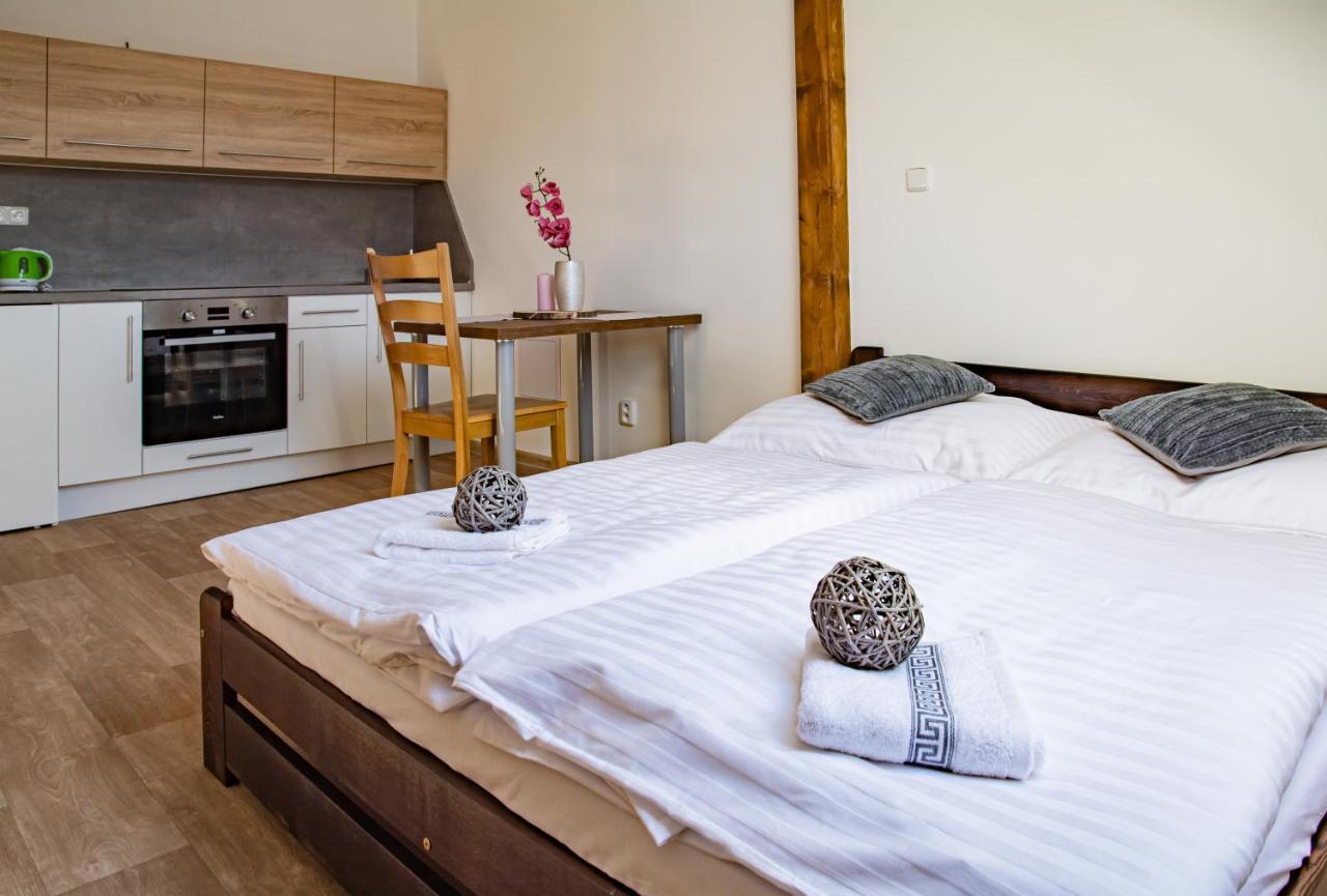 Apartmany Kurojedy Bor Екстериор снимка